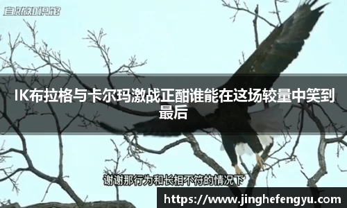 中国bbin宝盈集团有限公司
